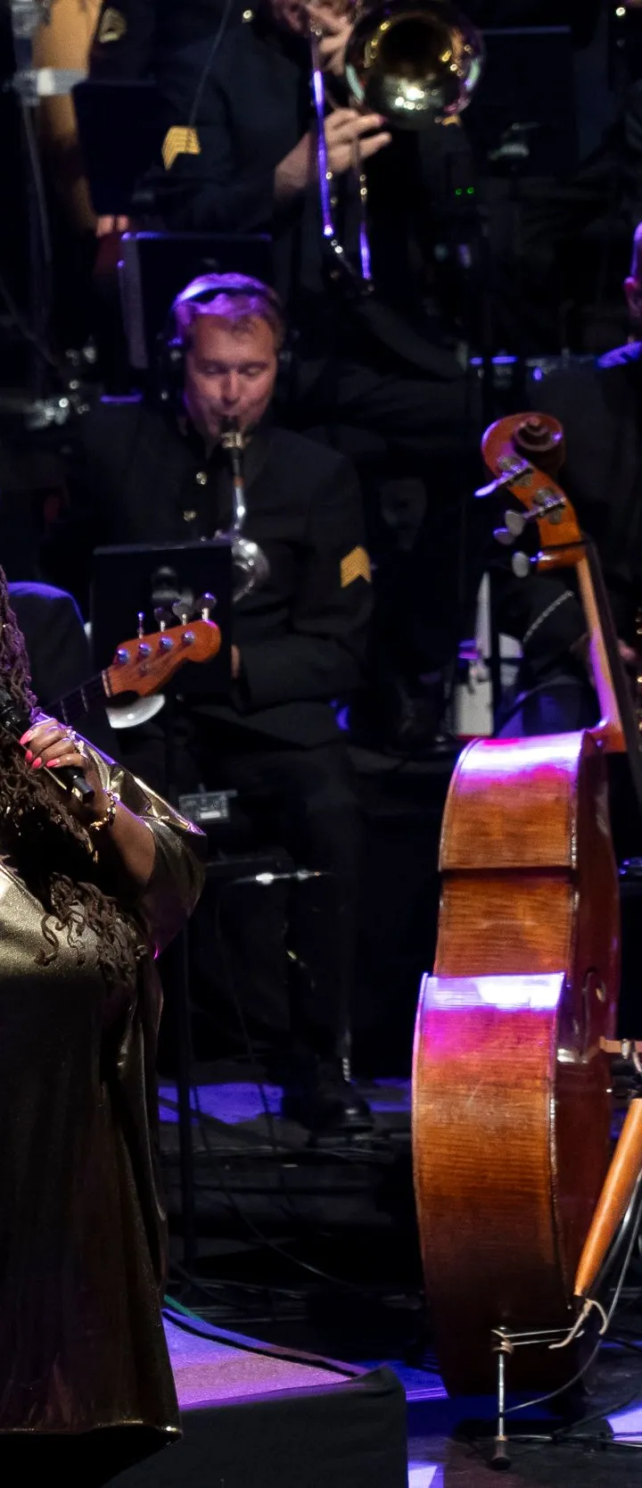 A female vocalist wearing a shiny gold dress stands on stage singing into a microphone, accompanied by a conductor in a dark uniform and a large ensemble of musicians playing brass, woodwind, and string instruments, including a prominently featured double bass and an electric guitar.