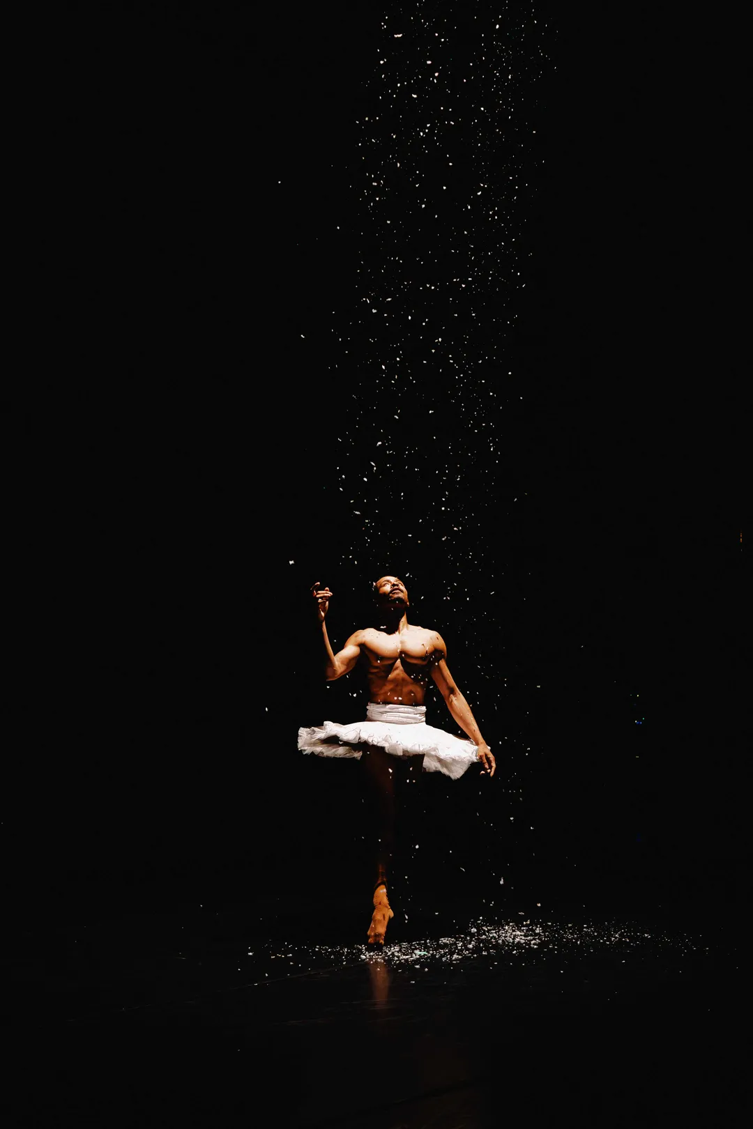 Production photo from Lisa Cox's Sugar Plum at Chrysalis